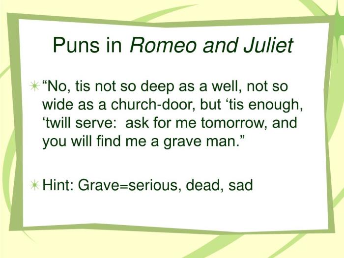 Juliet romeo puns project