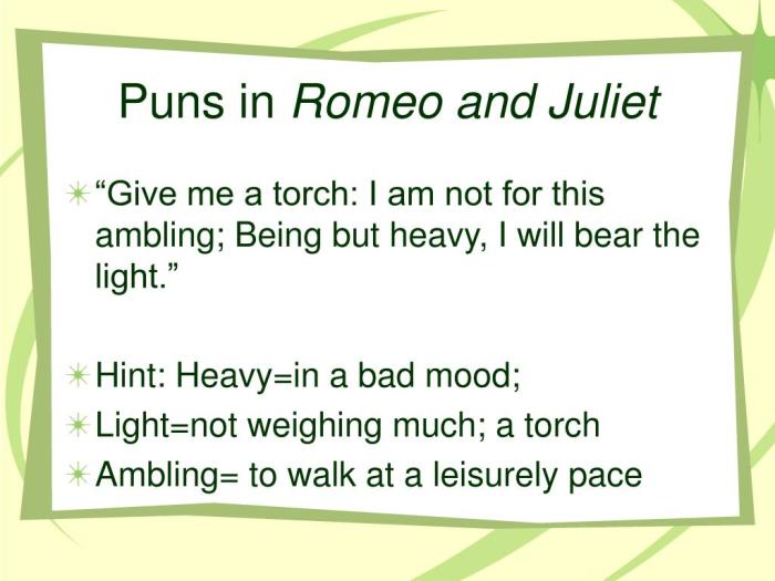 Pun in romeo and juliet