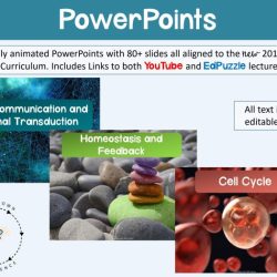 Ap biology unit 4 study guide pdf