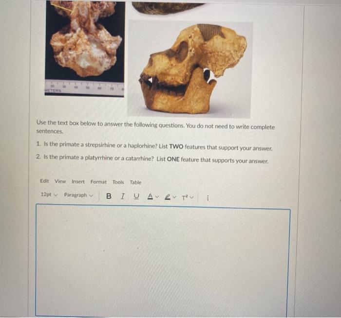 Determining the traits of a mystery organism