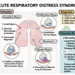 Clinical manifestations and assessment of respiratory disease