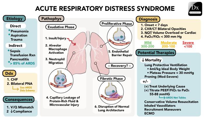 Clinical manifestations and assessment of respiratory disease