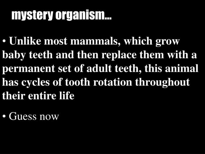 Determining the traits of a mystery organism