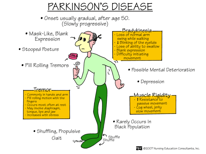 Clinical manifestations and assessment of respiratory disease