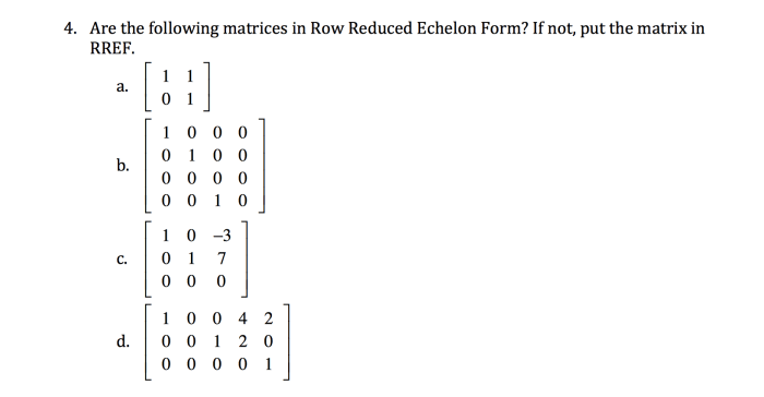 Describe the possible echelon forms of a nonzero 22 matrix