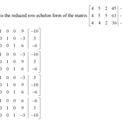 Describe the possible echelon forms of a nonzero 22 matrix