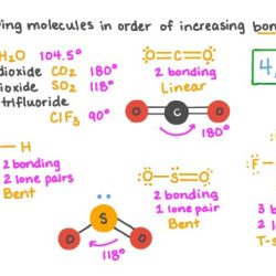 Bond approximate predict angles following molecule angle ch3 solved transcribed text show problem been has number chegg